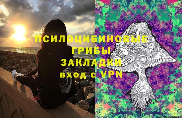 спиды Алексин