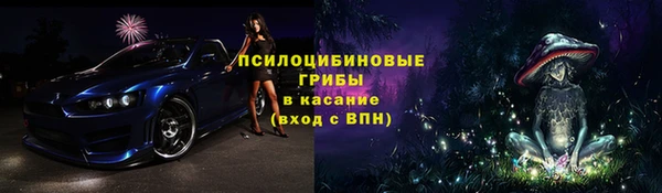 спиды Алексин