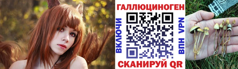 где можно купить наркотик  ОМГ ОМГ ссылка  Псилоцибиновые грибы мицелий  Харовск 